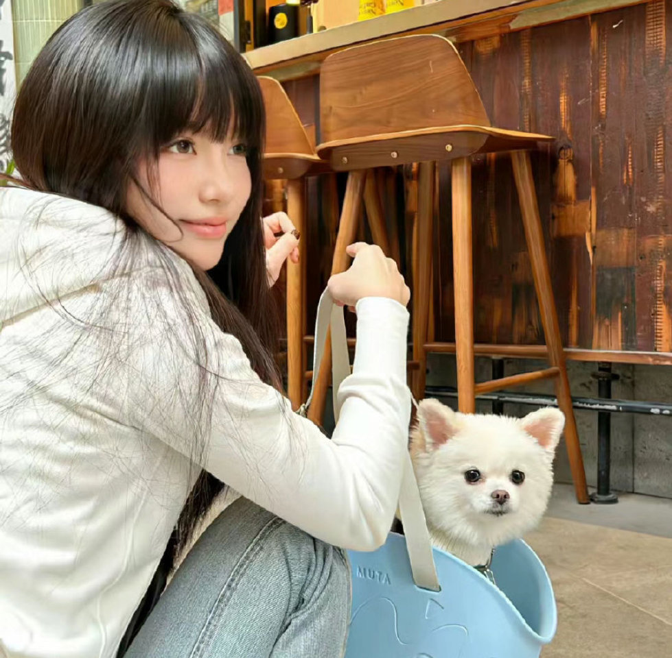 King Charles Cavalier